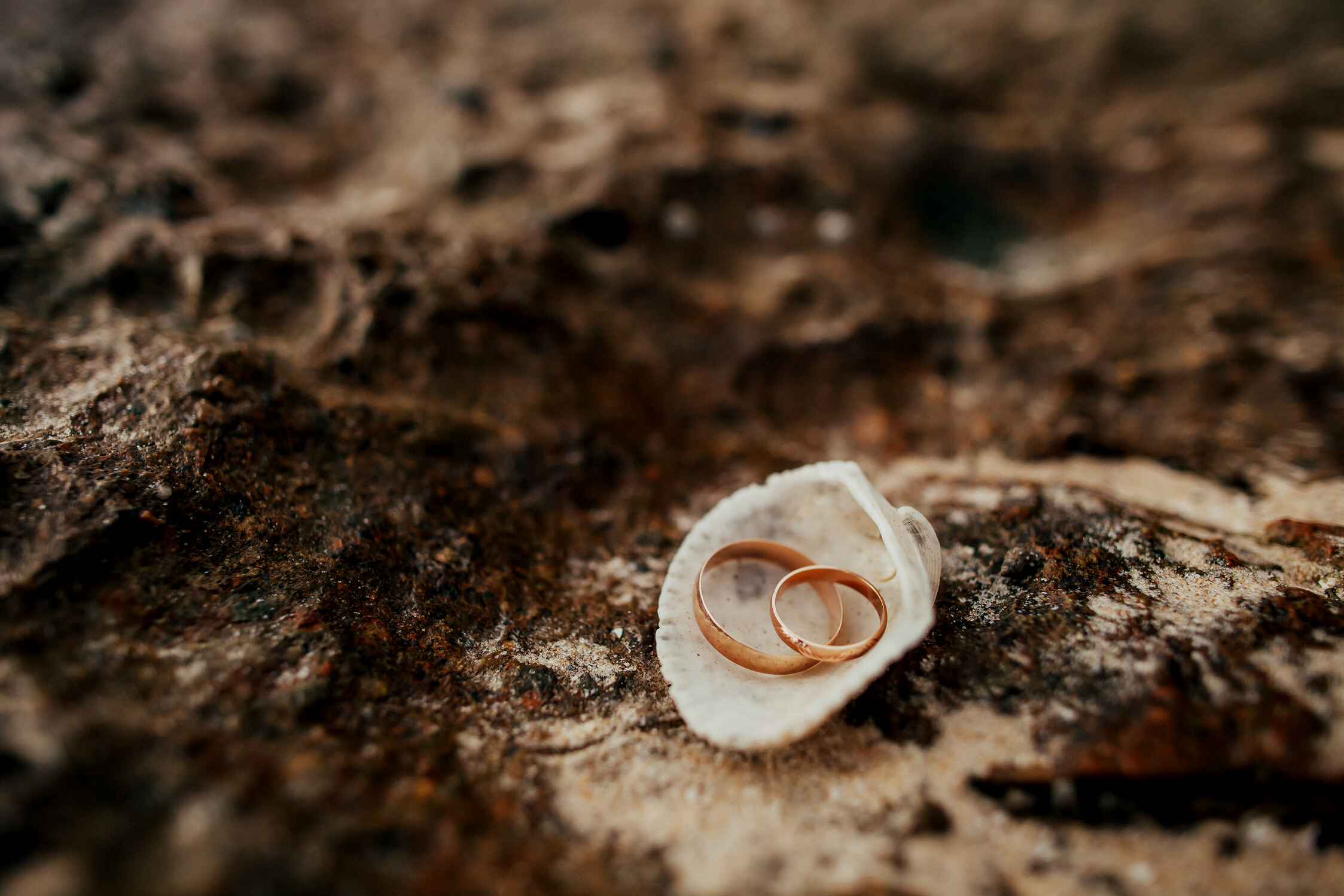 wedding rings on beach
